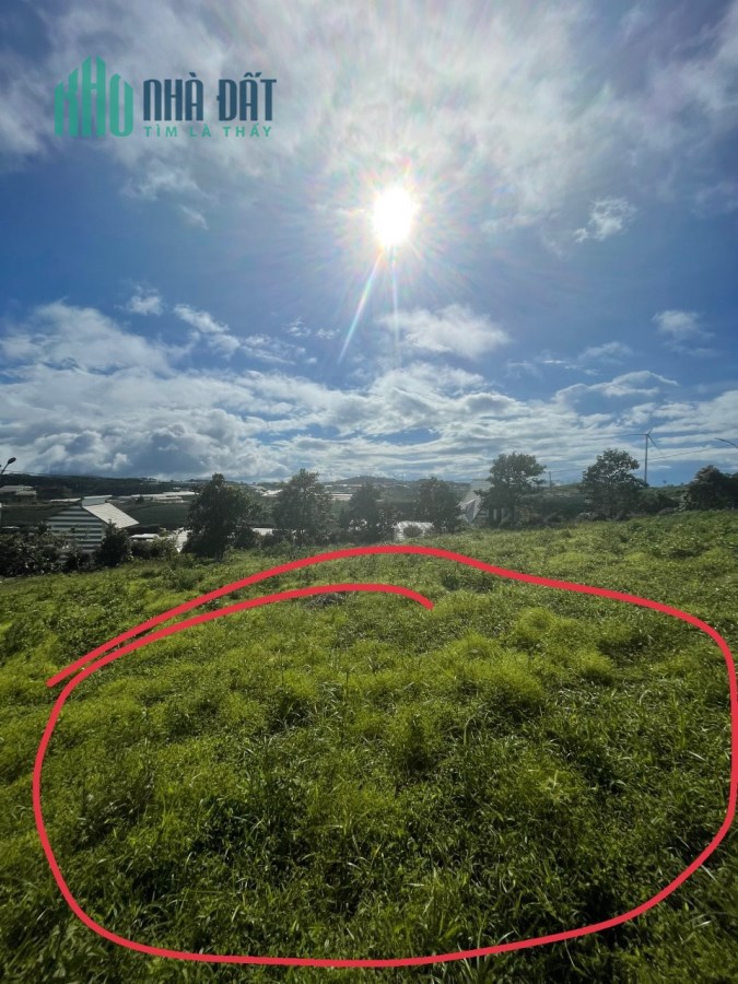 Bán Lô 2 Mặt Tiền - View Săn Mây Đường Ô TÔ - Xuân Trường Cầu Đất Đà Lạt