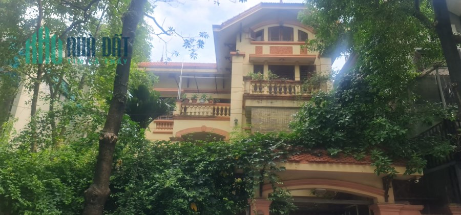 💥 Biệt thự đẳng cấp Bán đảo Linh Đàm, Hoàng Mai, 255m2 4T, MT 12m, Chỉ 46 Tỷ 💥