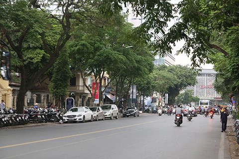 💥 Mặt phố VIP Trần Hưng Đạo, Hoàn Kiếm, Thông số VIP 450m2 1T, MT 10m, Chỉ 383 Tỷ 💥