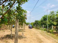 CHÍNH CHỦ CHO THUÊ DÀI HẠN 2 SÀO ĐẤT VƯỜN GIÁ RẺ XÃ PHÚ NGỌC- ĐỊNH QUÁN.
