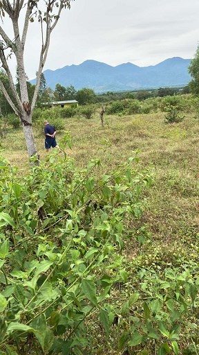 Chính chủ cần người hợp tác kinh doanh dự án mỏ cát xây dựng