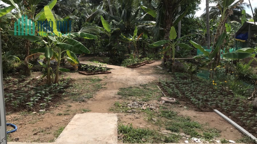 Chính chủ bán 1000m2 đất sổ đầy đủ