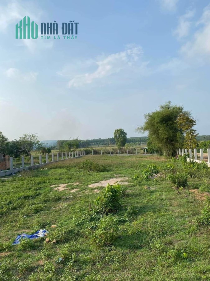 Bán lô đất QL 55, x.Phước Tân, Xuyên Mộc, Bà Rịa Vũng Tàu
