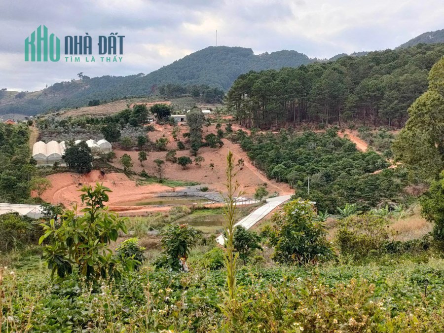 Bán đất làm farm trang trại tại Tà Nung Đà Lạt gần 3 hecta