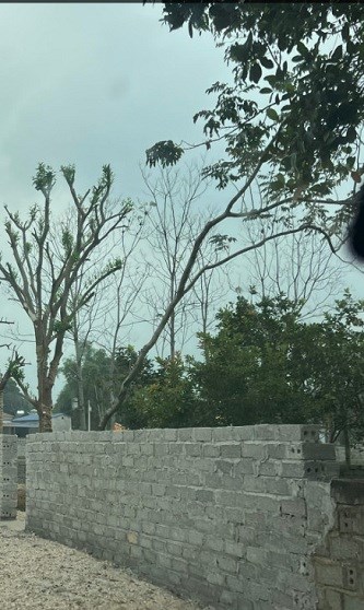 Bán gấp mảnh đất 436m2 sổ đỏ tại An Phú, Mỹ Đức, Hà Nội