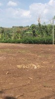 Chính chủ cần ra đi đất 2 mặt tiền quy hoạch full thổ cư giá dân Xã Xuân Quế, Cẩm Mỹ, Đồng Nai