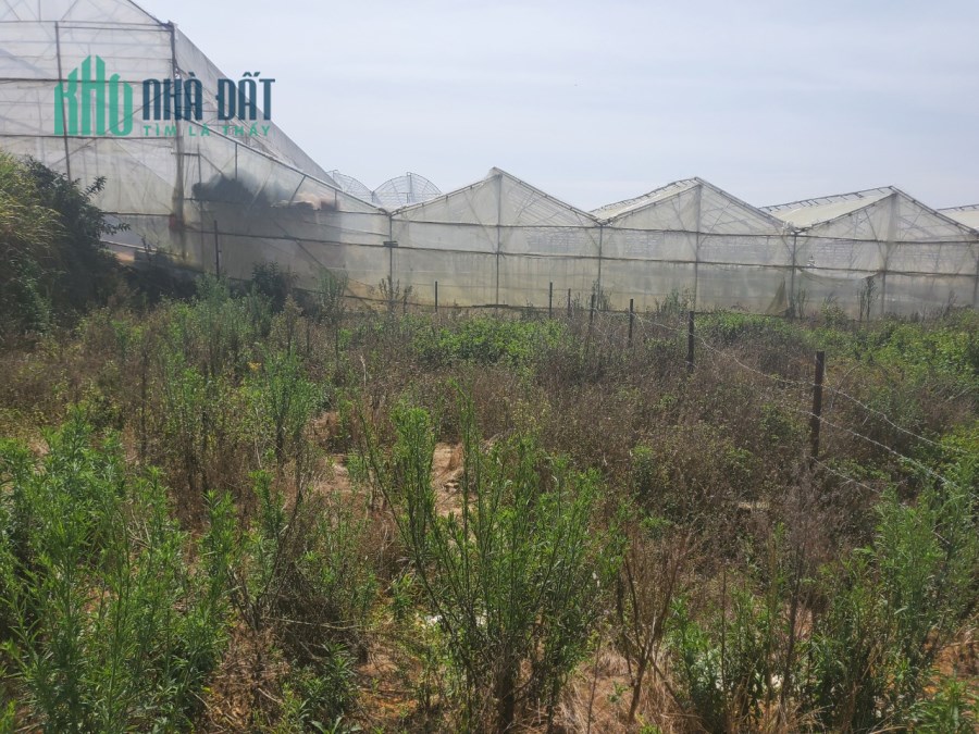 (Hot Hot) Chỉ 4.7 tỷ - Sở hữu ngay lô đất nền Biệt Thự view thoáng tại Thái Phiên, Đà Lạt 206m2