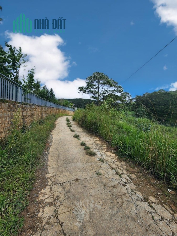 (Mua ngay kẻo lỡ) Chỉ 2.4 tỷ - Sở hữu ngay 1000m2 đất view tuyệt đẹp tại Đà Lạt