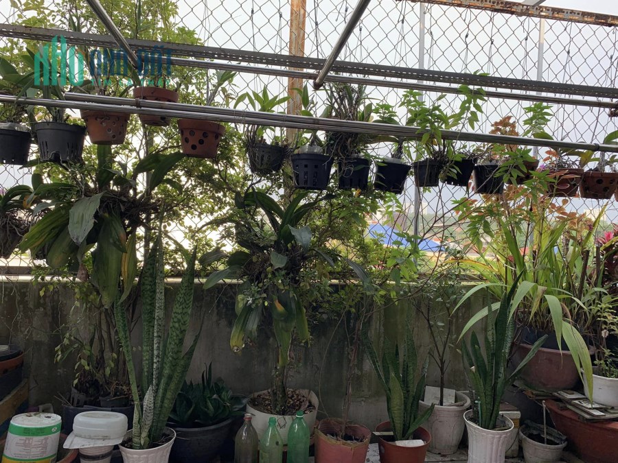 nhà đẹp giá tốt phạm thế hiển phường 7 quận 8