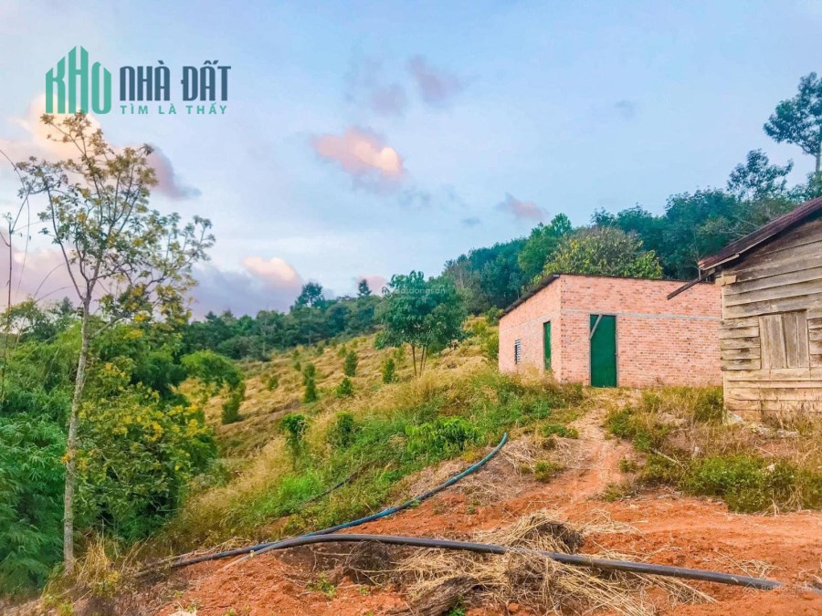 Bán đất Nam Rạ 1900m2, 20m M tiền đg nhựa, view hồ, đất ở, giá chỉ 3 triệu/m2