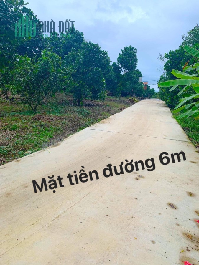 cần bán đất vườn mít Ngọc Định chỉ 685tr/1000m2 có sổ hồng sẵn dễ dàng công chứng trong ngày