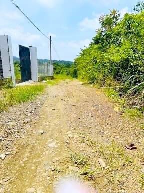 cần bán đất nông nghiệp Phú Ngọc chỉ 865tr/1039m2, có sổ hồng đầy đủ cách đường nhựa QL20 chỉ 500m