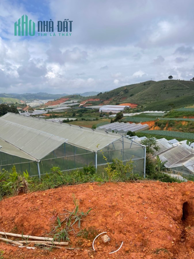 Khai Xuân - Chủ gửi bán gấp lô đất view thoáng tại Thị Trấn Lạc Dương, Đà Lạt 448m2 giá chỉ 4 tỷ
