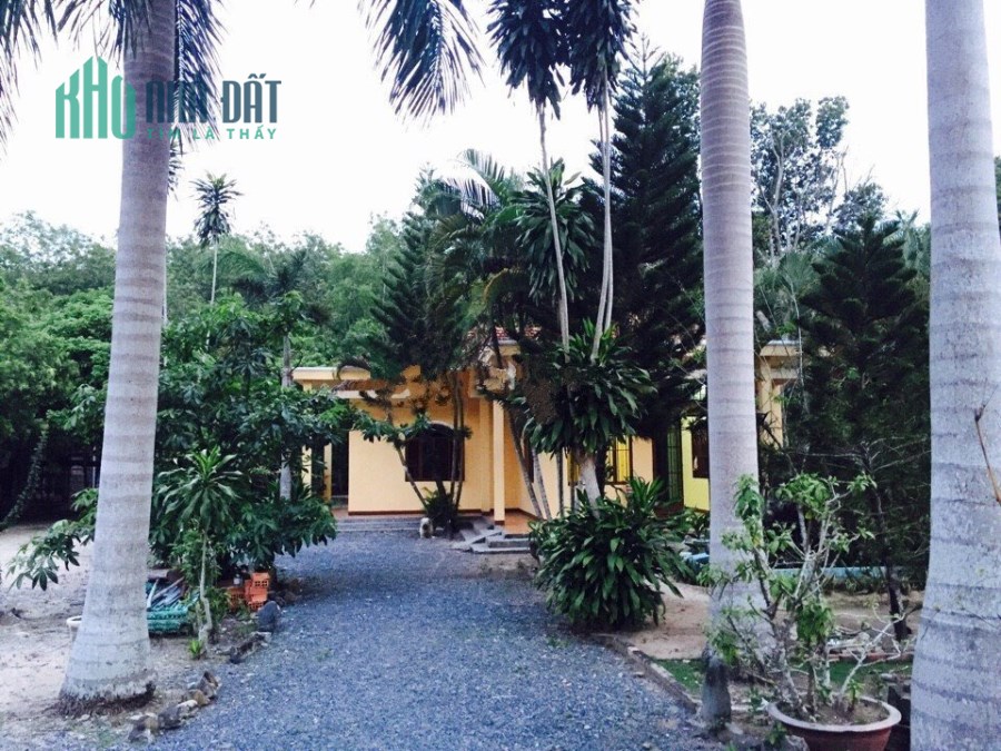 Bán gấp nhà vườn đường Cây Bài, Phú Hoà Đông, Củ Chi