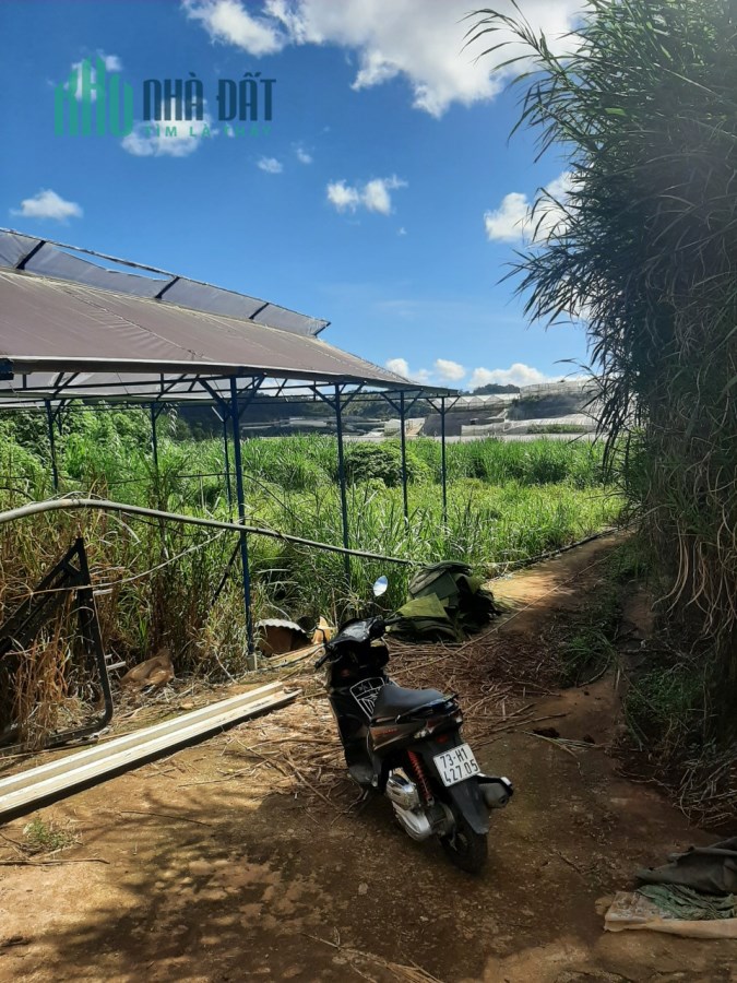 ( Giá rẻ bất ngờ ) Chỉ 450 triệu - Sở hữu ngay lô đất khu Làng Hoa Vạn Thành, Đà Lạt 92m2