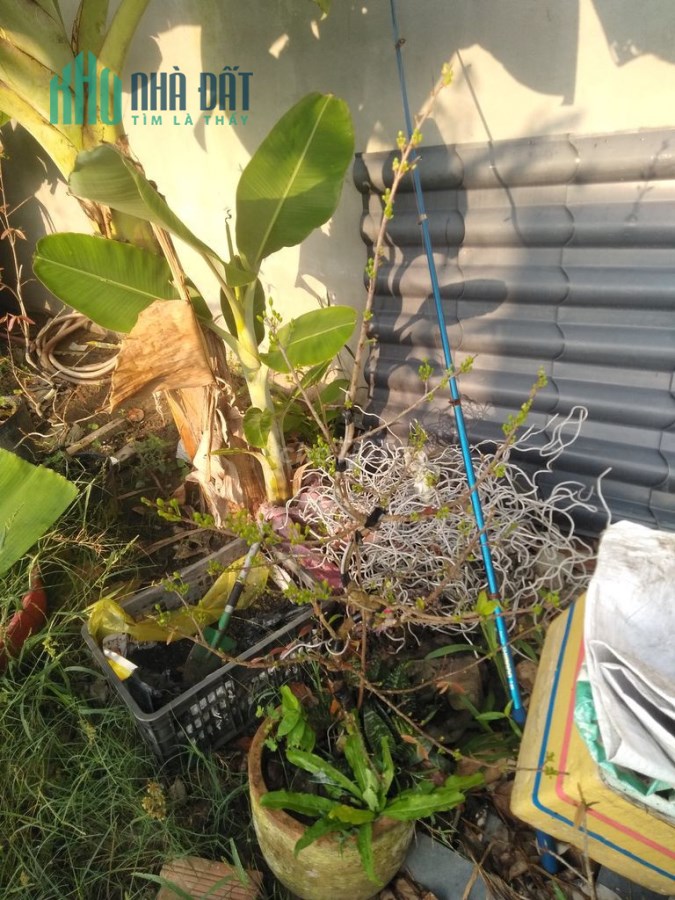 Chính Chủ Bán 1.187m2 Đất Sổ Hồng Riêng Giá Rẻ 2mt Xã Song Phú
