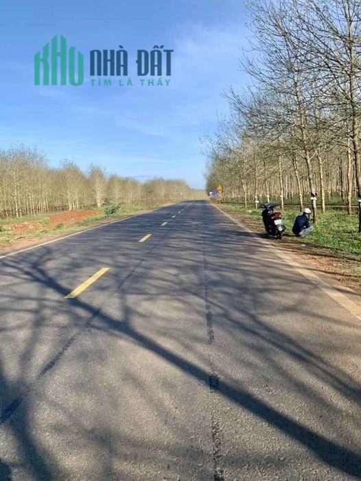 Chính chủ cần Bán 2 Lô Đất Nền 10*40 Thổ Cư 120m Giá 700tr