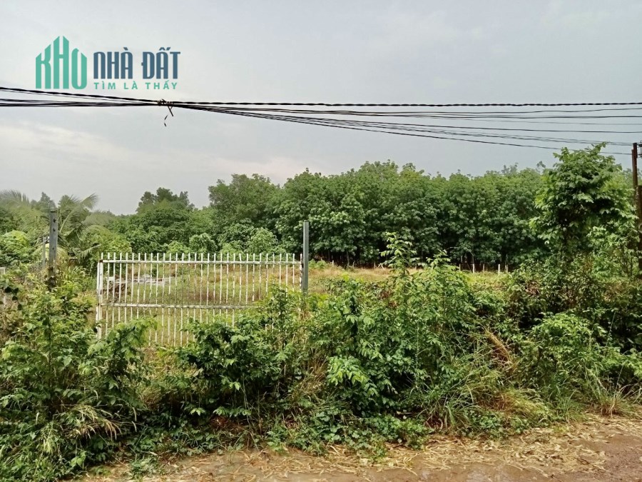 Cần tiền Bán gấp lô đất Bến Đình, TT.Bến Cầu, Bến Cầu, Tây Ninh