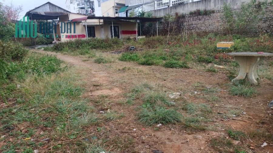 Bán Gấp Lô Đất ở Phù Đổng Thiên Vương, Phường 8, Đà Lạt. Gần Khách Sạn Kỳ Hòa