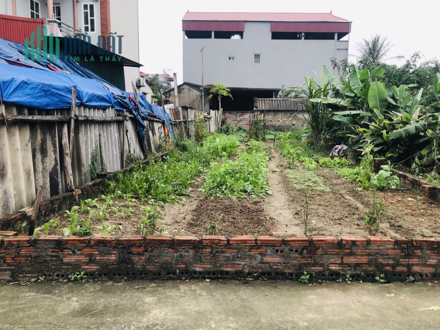 Bán tháo hơn100m Đình Trung-Xuân Nộn ôtô tải đỗ cửa chỉ 2x nhỏ xíu