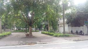 Chính chủ bán 176m2 đất đấu giá Vườn Đào, Quận Tây Hồ, mặt tiền 11m giá 55,6 tỷ