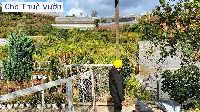 CHO THUÊ ĐẤT XUÂN THỌ ĐÀ LẠT