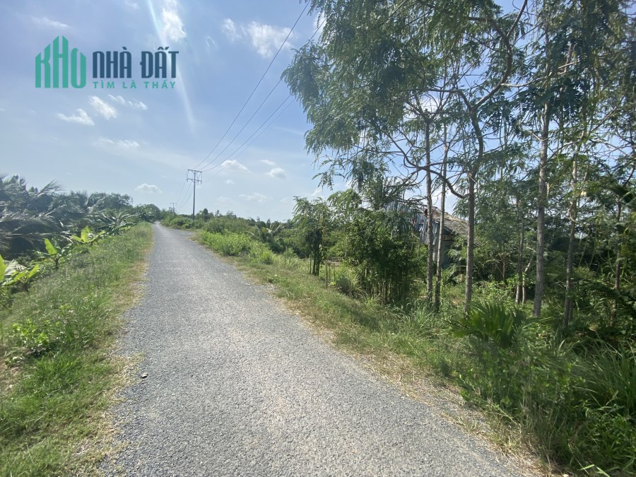 Sở Hữu Ngay lô đất Đẹp Vị Trí Đắc Địa Tại Cầu 10 Kính, Ấp Nguyễn Tăng, Xã Đại Ân 1, Cu Lao Dung,