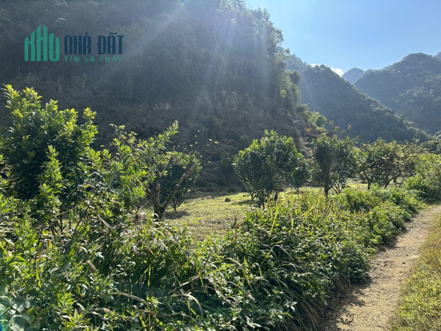 Cần bán lô đất view nghỉ dưỡng - Giá siêu đầu tư tại Vân Hồ, Sơn La
