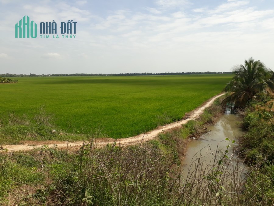 BÁN 11,7 MẪU RUỘNG MẶT TIỀN LỘ NHỰA BIÊN GIỚI