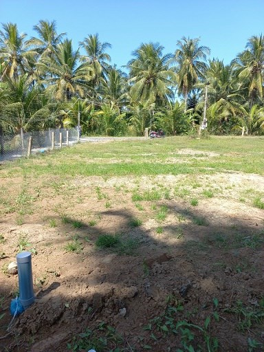 CẦN BÁN 3 LÔ ĐẤT ĐẸP NHIỀU TIỀM NĂNG KHU VỰC THÀNH PHỐ MỸ THO