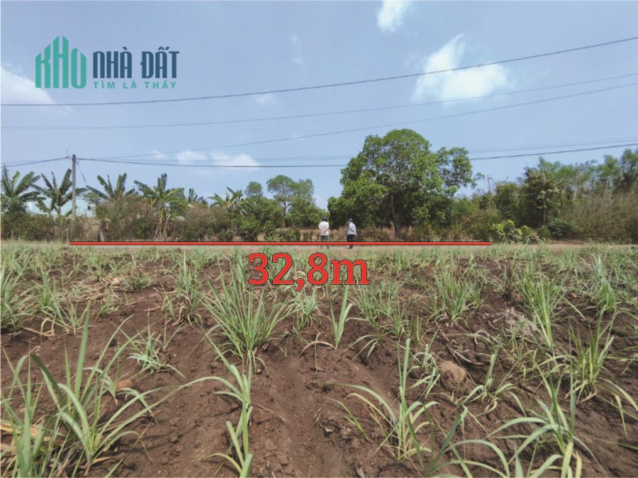 Cần bán lô đất 6033m2 chính chủ tại Xuân Lộc