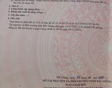 Chính chủ cần tiền bán gấp lô đất đẹp giá đầu tư tại Xã Quang Thịnh, Huyện Lạng Giang, Tỉnh Bắc