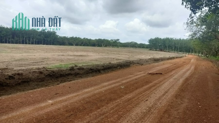 ĐÂT SÀO LONG HÀ - PHÚ RIỀNG