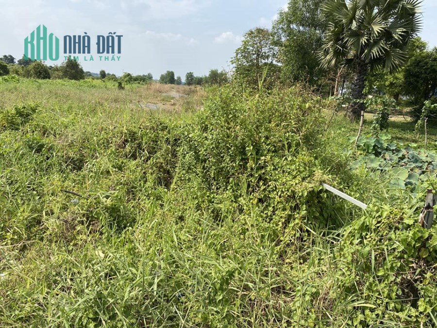 ĐẤT THỔ CƯ - MT VÕ VĂN BÍCH CỦ CHI 2ha GIÁ CHỈ 150 TỶ