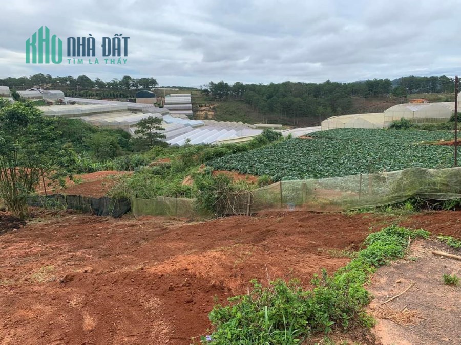 Bán gấp đất Biệt Thự gần Khu Mây Lang Thang tại Măng Ling, Đà Lạt giá 5.5 tỷ