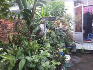 Chính Chủ Cần bán nhà tại : phường Thạnh Lộc – Quận 12 – thành phố Hồ Chí Minh