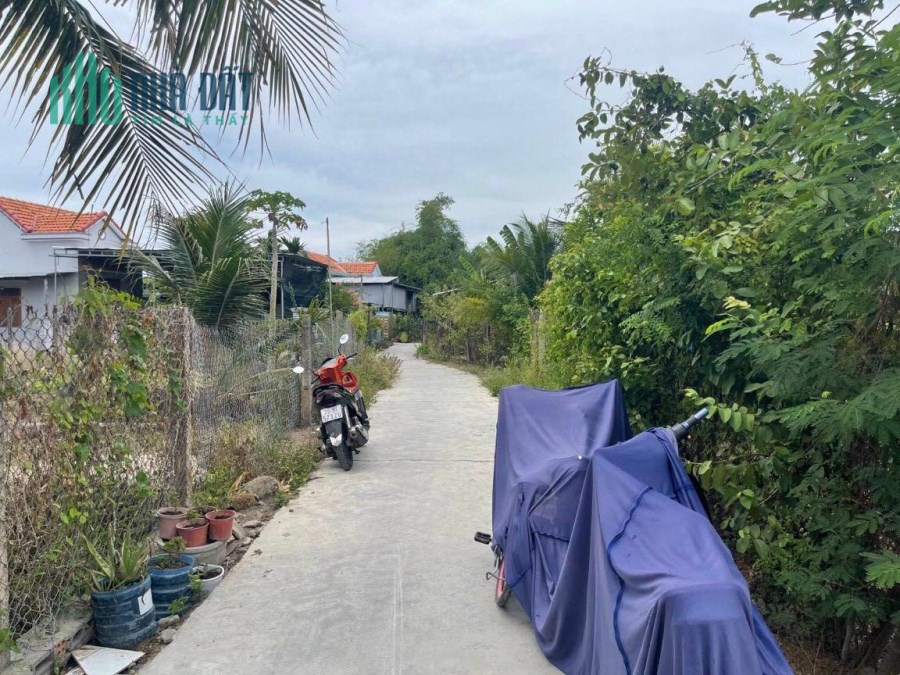 bán lô đất Phường Vuông vắn DT 12X16  cách ql1a chỉ 300m Ninh Giang Ninh Hòa lh 0985451850 Xuyên