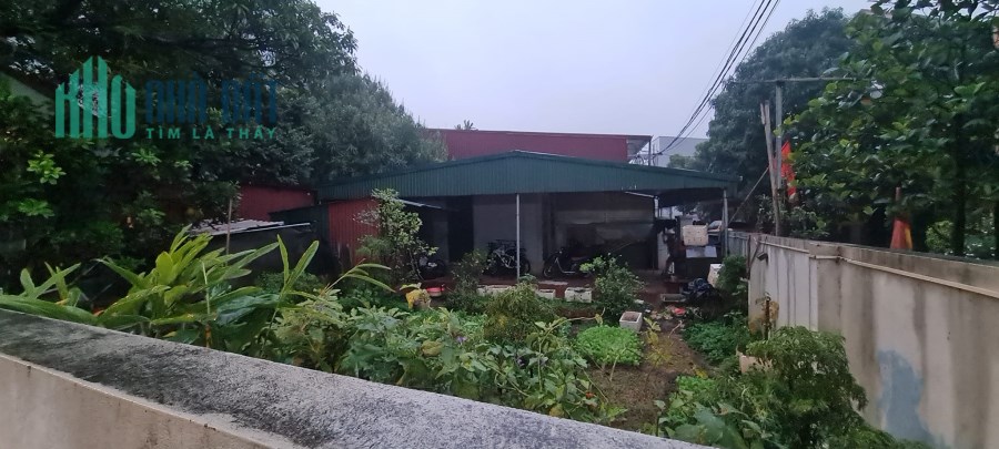 Bán đất Xuân Nộn Đông Anh ô tô vào đất, 45m, MT4,2m giá 1.19 tỷ