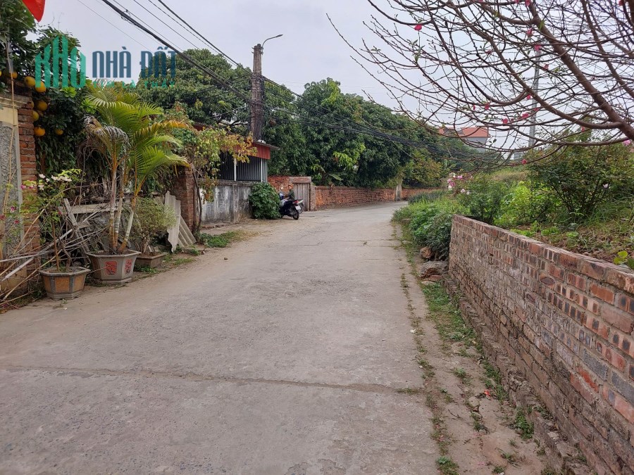 BÁN ĐẤT  SÁT ĐÊ SÔNG HỒNG THANH BÌNH. ĐẤT VUÔNG ĐẸP NHƯ TRANH. Ô TÔ 3 TRÁNH NHAU  CHẠY VÒNG QUANH