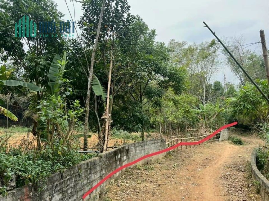 BẠN GỬI BÁN GẤP MẢNH ĐẤT SIÊU ĐẸP PHÚ VINH TÂN LẠC HOÀ BÌNH