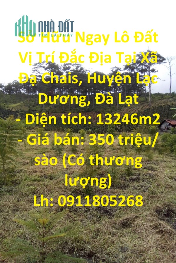 Sở Hữu Ngay Lô Đất Vị Trí Đắc Địa Tại Xã Đạ Chais, Huyện Lạc Dương, Đà Lạt