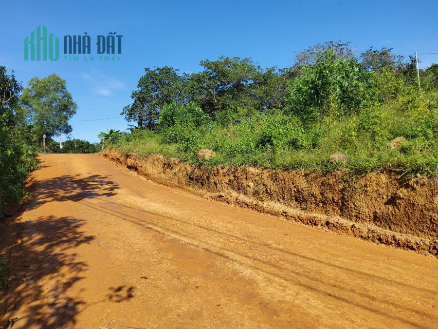 bán vườn cây ăn trái giá chỉ từ 700tr/1000m